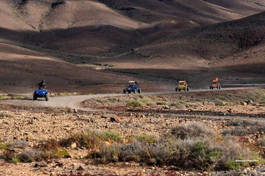 Buggy Safari in Caleta de Fuste