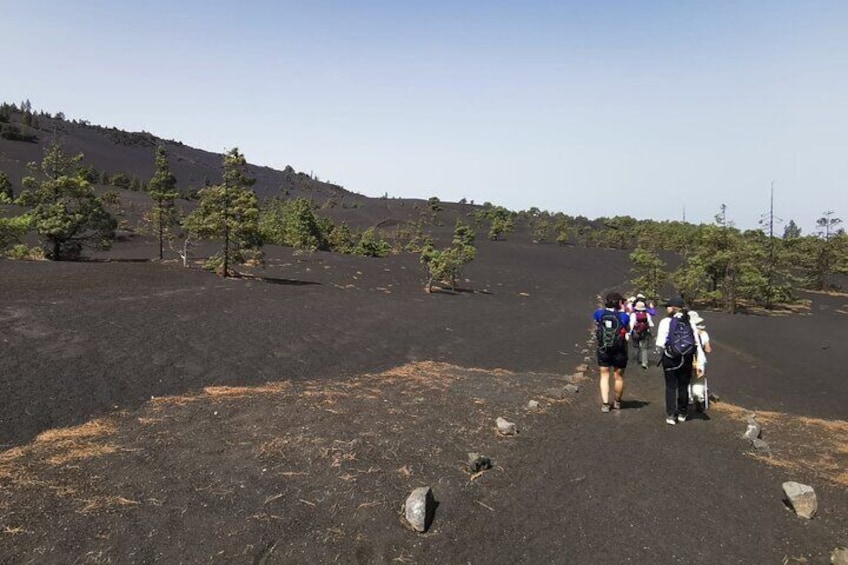 Full Day Tour with Hiking to the Tajogaite Volcano