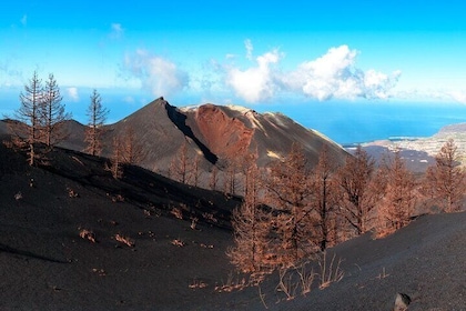 Full Day Tour with Hiking to the Tajogaite Volcano