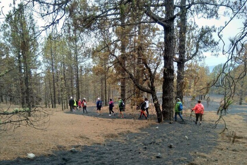 Full Day Tour with Hiking to the Tajogaite Volcano