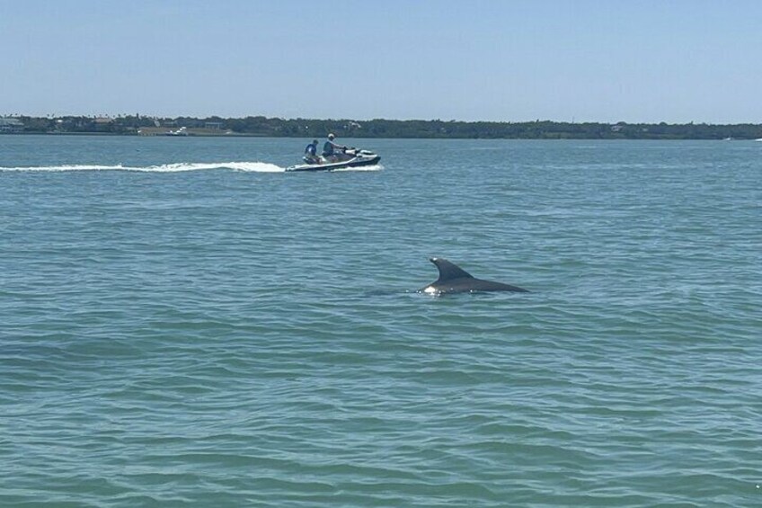 One Hour Guided JetSki Tour