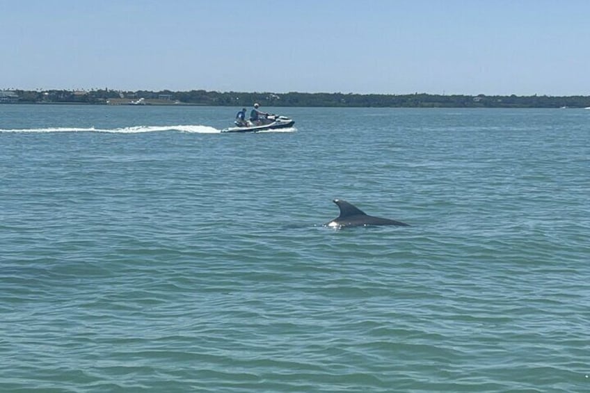 One Hour Guided JetSki Tour