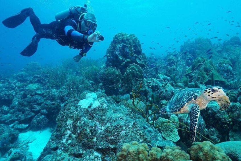 Guided shore dive on one of our house reefs for Certified Divers.