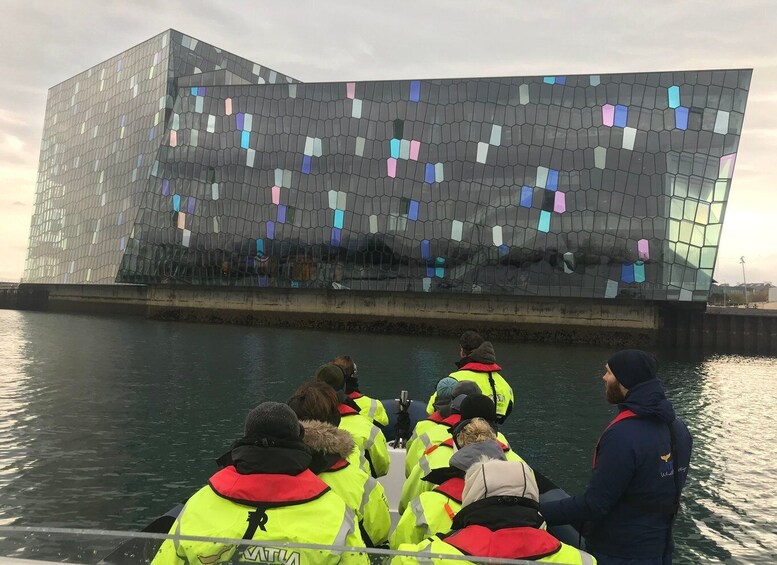 Picture 5 for Activity Reykjavík: RIB Speed-Boat Puffin Watching Tour