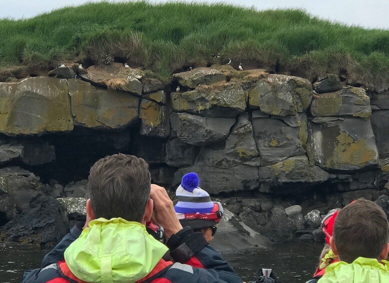 Picture 4 for Activity Reykjavík: RIB Speed-Boat Puffin Watching Tour