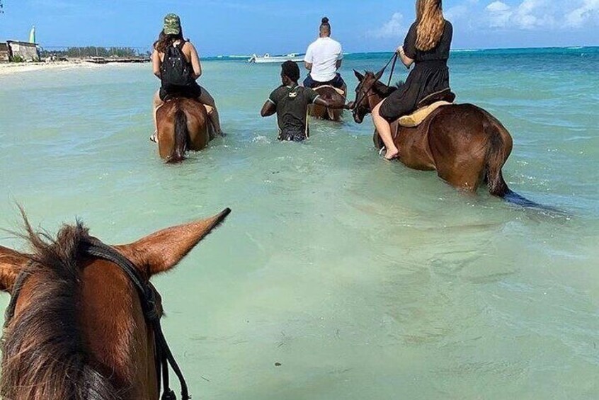 Horseback riding and Blue Hole From Montego Bay (Private)