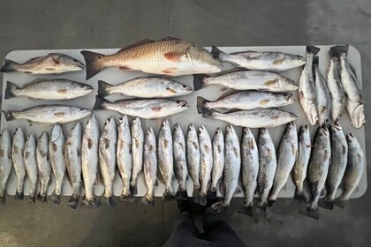 Private Guided Fishing Trip in the New Orleans Area