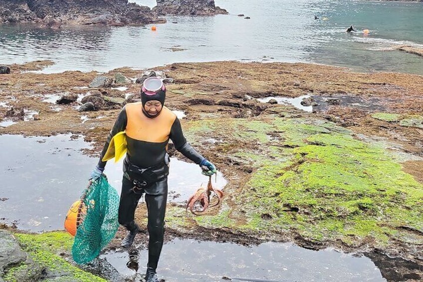 Private Day tour East & south & west of All area in jeju island