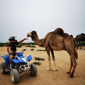Agadir, Marruecos, paquetes de actividades y excursiones