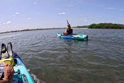 Private Guided Pedal Kayaking Tour