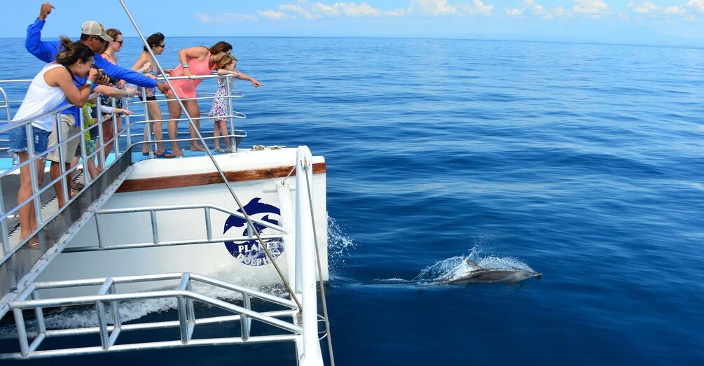 Picture 2 for Activity Flamingo, Guanacaste: Catamaran Trip with Lunch and Drinks