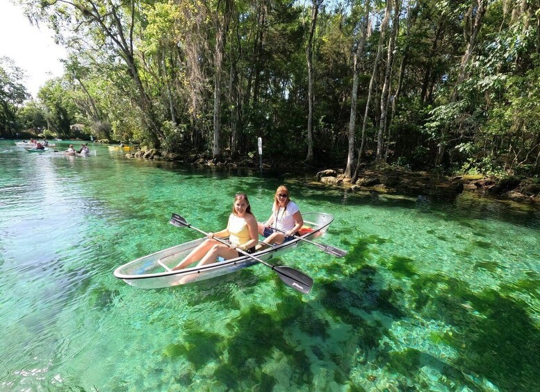 Picture 7 for Activity Crystal River: VIP Clear Kayak Springs and Manatee Ecotour