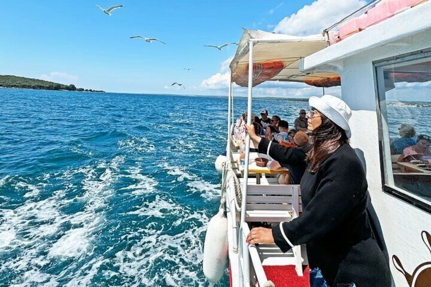 Fazana: (Lunch) Brijuni islands cruise & Visit peacock island