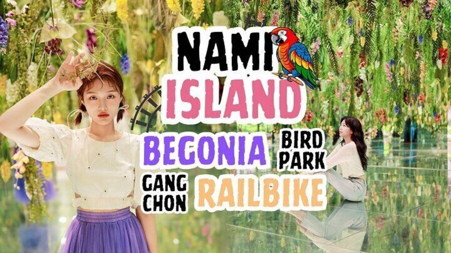 Nami Island and Begonia Bird Park Tour from Seoul
