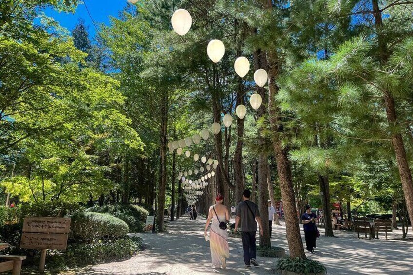 Nami Island and Begonia Bird Park Tour from Seoul (opt Railbike)