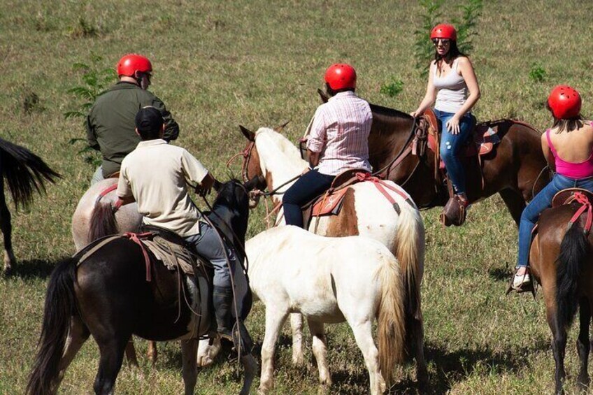 2 Hour Private Horseback Riding in Tarcoles Costa Rica