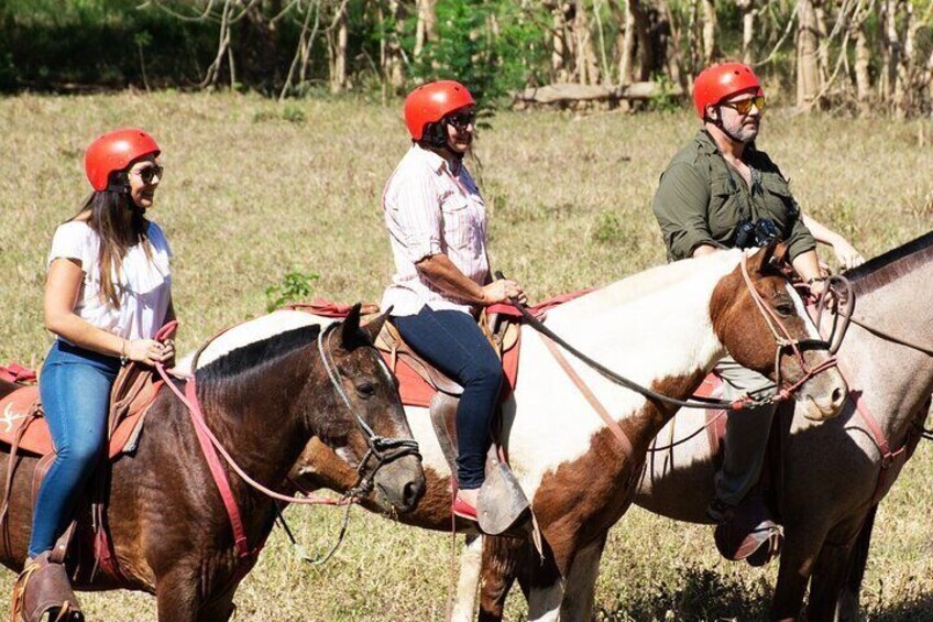 2 Hour Private Horseback Riding in Tarcoles Costa Rica
