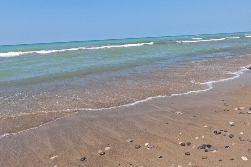 Full-Day Beach Day at Grand Bend