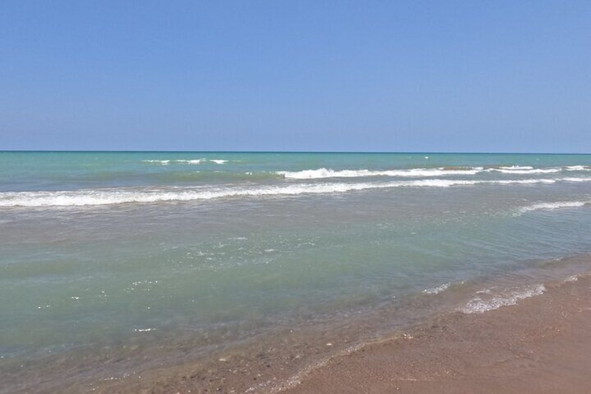 Full-Day Beach Day at Grand Bend