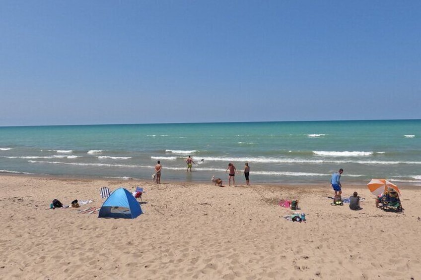 Full-Day Beach Day at Grand Bend