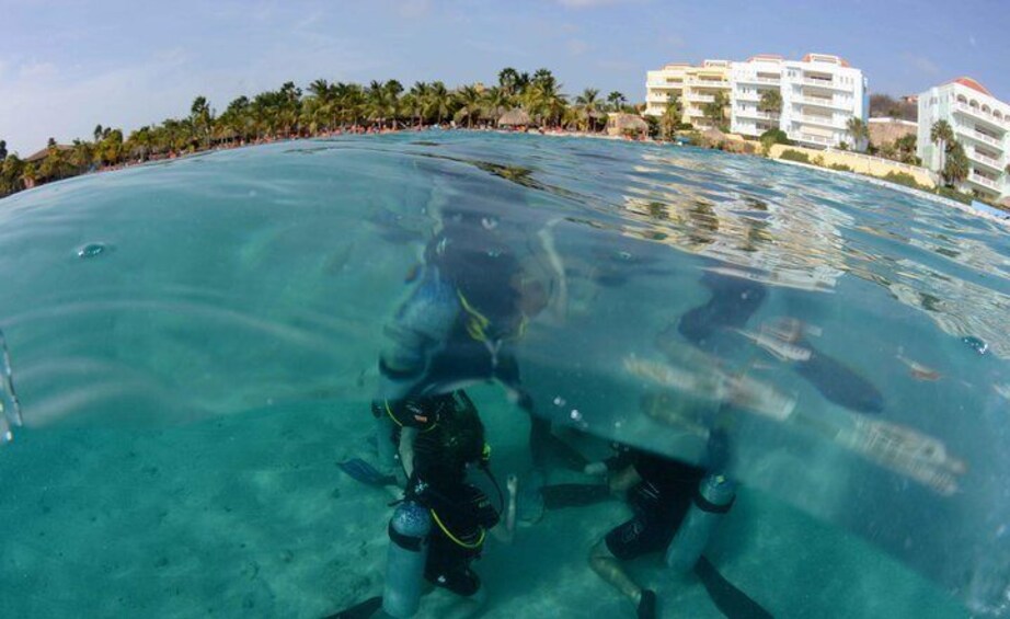 Open Water Diver Course at Blue Bay Dive in Curacao