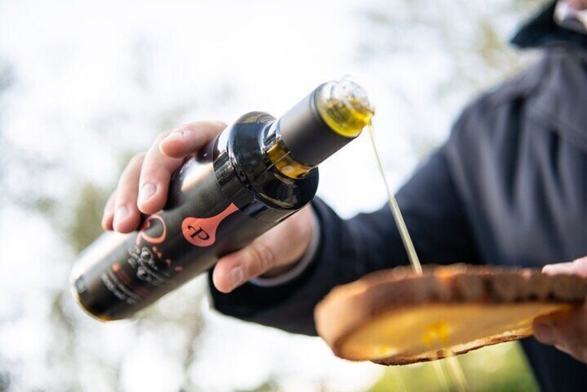 Olive Oil Private Tour and Extra Virgin Olive Oil Tasting in Altamura