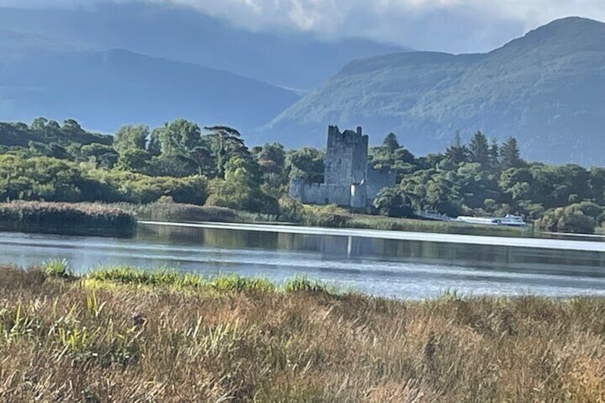 1 Hour Guided Carriage Tour in Killarney National Park