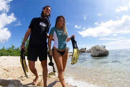 Guided Snorkel Tour at the Best Reef from shore on Curacao - Blue Bay Beach