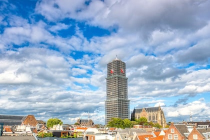 Utrecht: Entrébiljett till Dom Tower och guidad tur