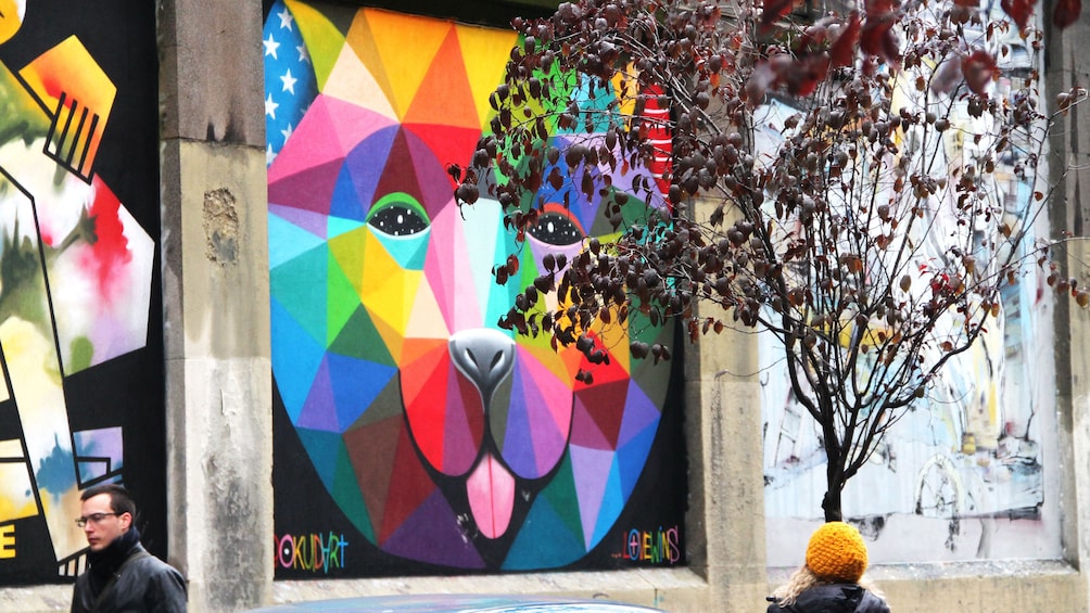 Multicolored dog paint on wall in Madrid