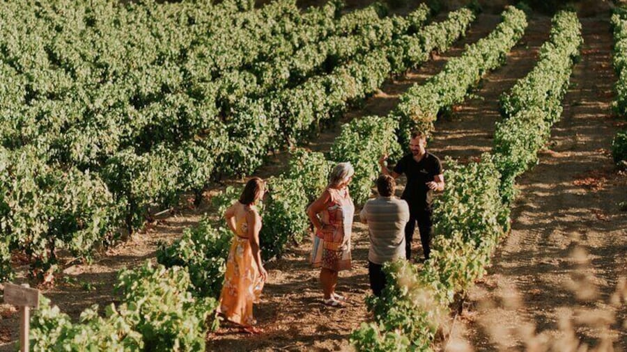 Kostantakis Winery - Milos Island Wine Tasting Experience