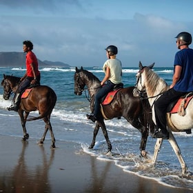 Montar a caballo en Agadir, visitar el río flamenco con una bebida de té.