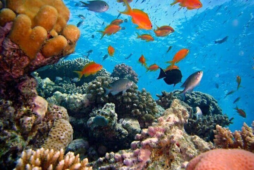 Private Bali Snorkling at blue lagoon all include