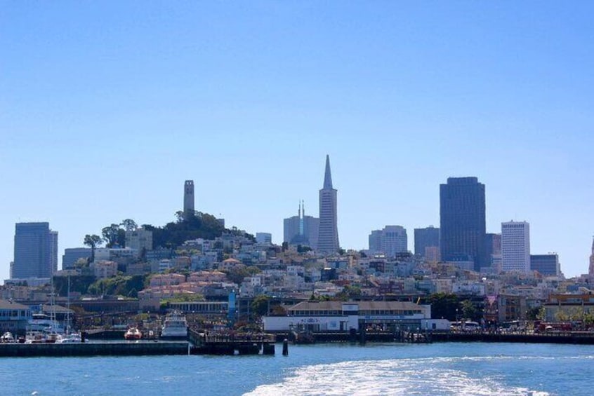 Views of the SF Skyline from Telegraph HIll, to Russian Hill, to The Marina District, and The Presidio.