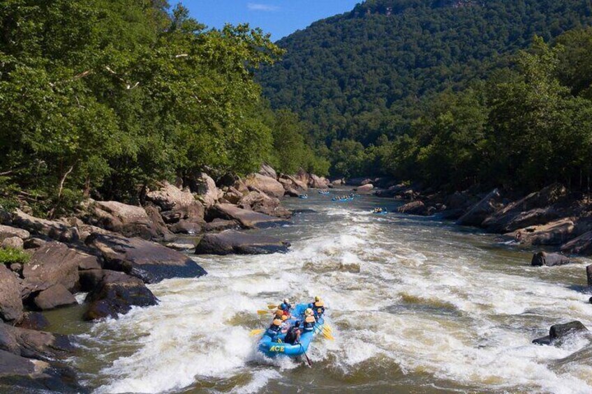 Half Day New River Gorge Whitewater Rafting