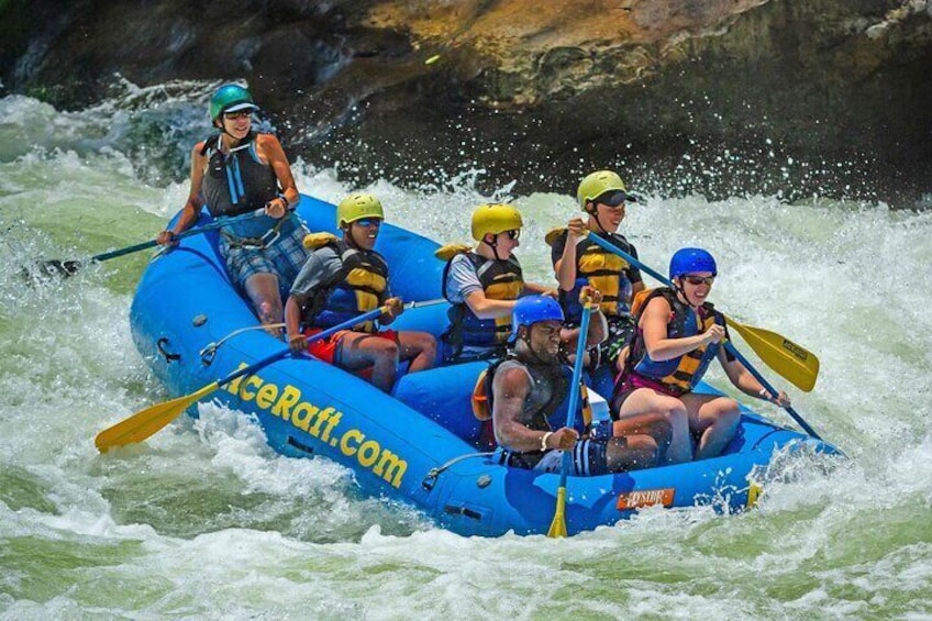 Half Day New River Gorge Whitewater Rafting