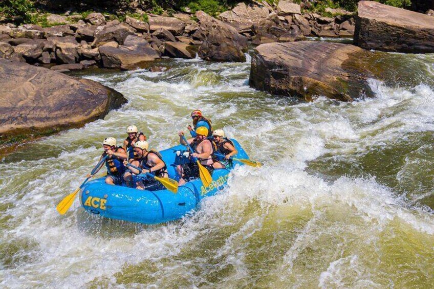 Half Day New River Gorge Whitewater Rafting