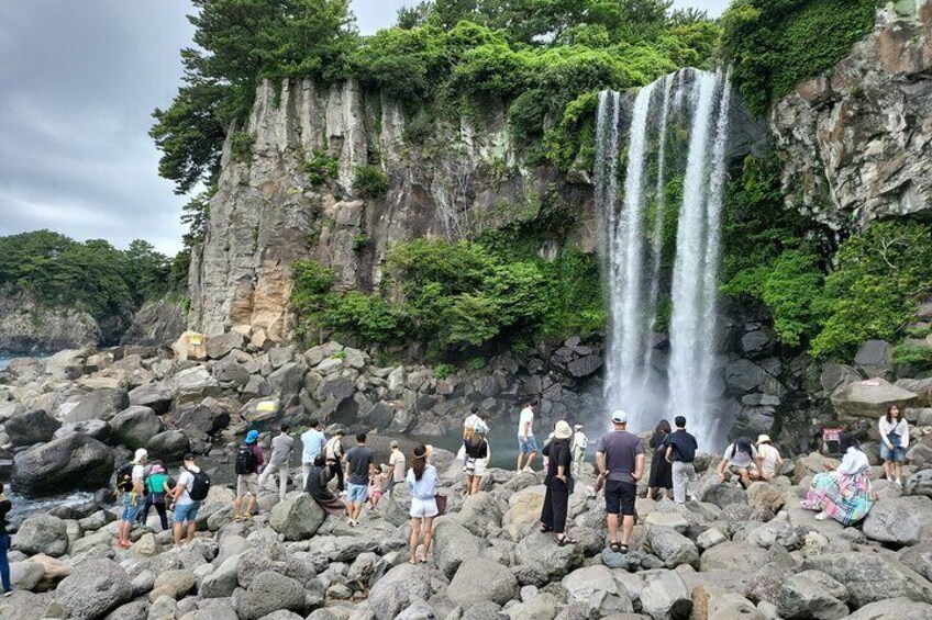 Private Half Day South and West Tour in Jeju Island