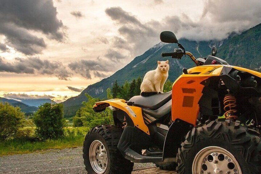 Water Rafting - Buggy or ATV - Jeep Safari - Zipline Combo Tour