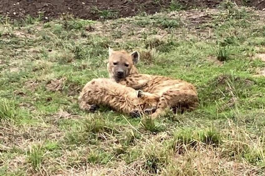 4-Day Masai Mara - Luxury Private safari