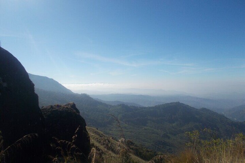 Small-Group Half Day Trekking in Munnar with Breakfast