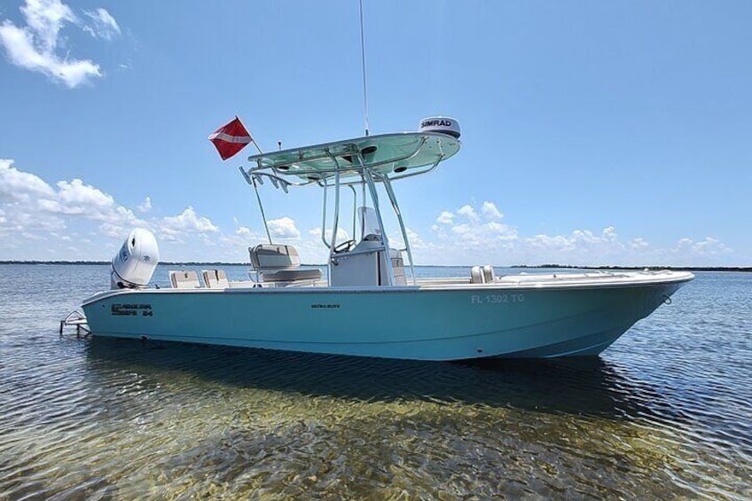 3-Hour Private Dolphin Sightseeing Adventure