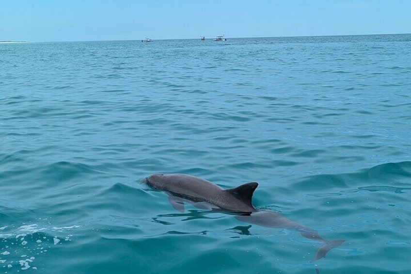 Blue water!