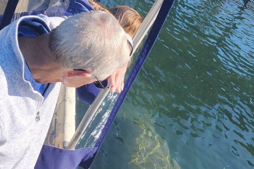 Private Crystal River Wildlife Boat Tour
