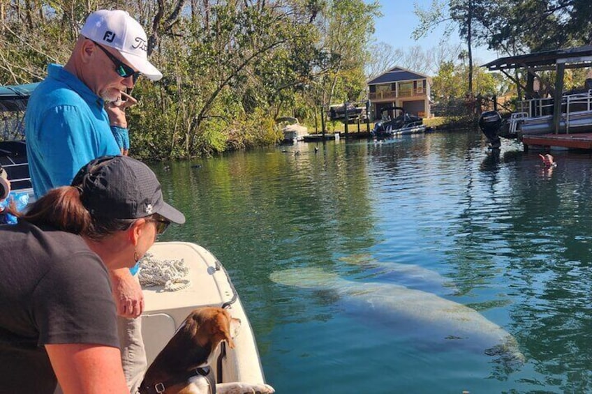 Private Crystal River Wildlife Boat Tour 