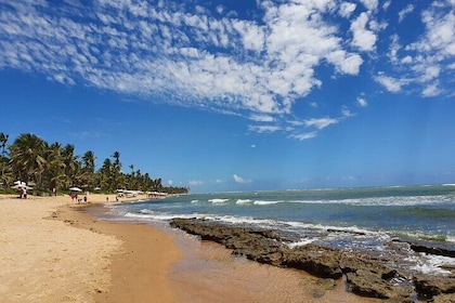 Private Coconut Coast & Praia do Forte Tour - from Salvador