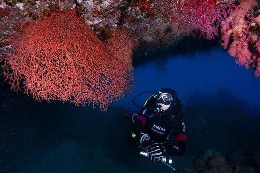 Diving And snorkeling from Boat 