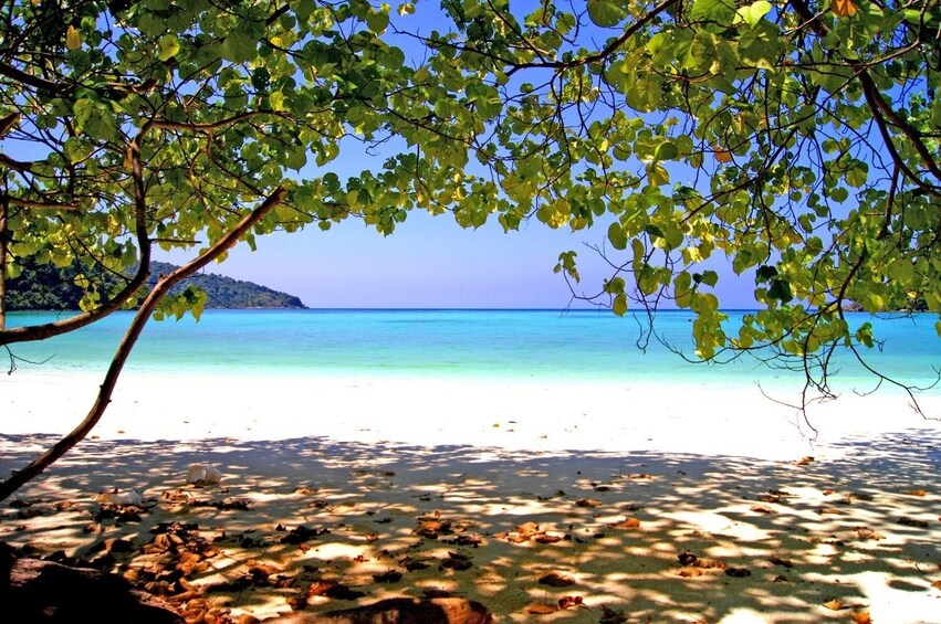 The Koh Lipe Backyard