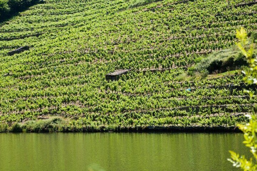 Discover the Charm of Bajo Miño and Portugal on a Private Tour