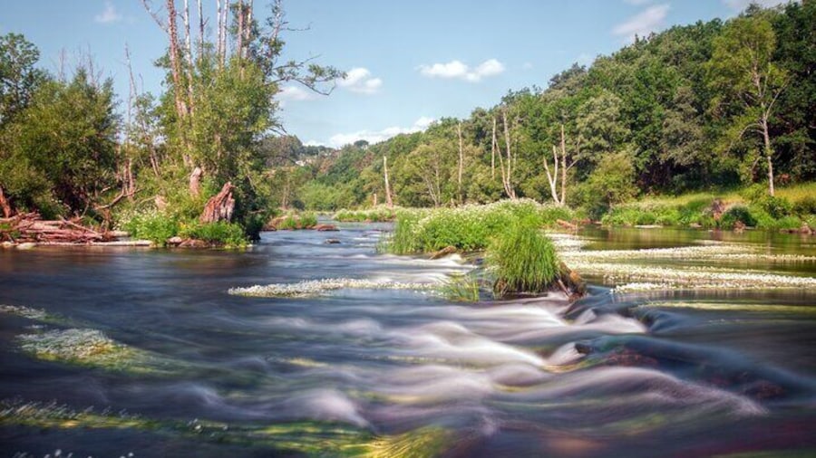 Discover the Charm of Bajo Miño and Portugal on a Private Tour